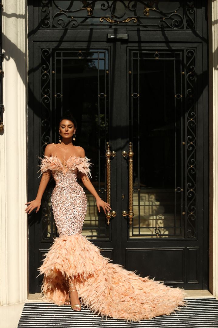 Anahi Elegant Off-Shoulder Feather Touch Pink Evening Dress