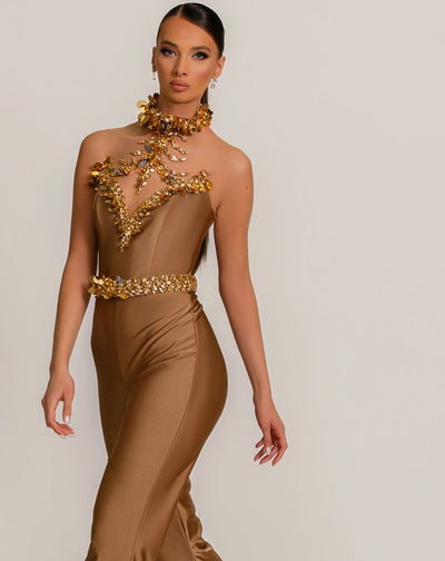 Brianna Beautiful Golden Evening Dress