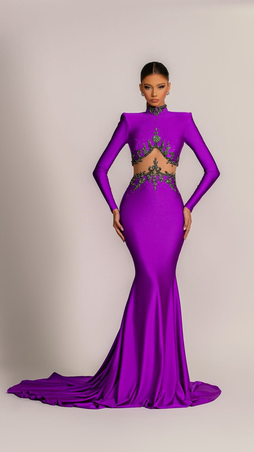 Clarissa High Neck Long Sleeves BeautiFul Purple Evening Dress – D&D