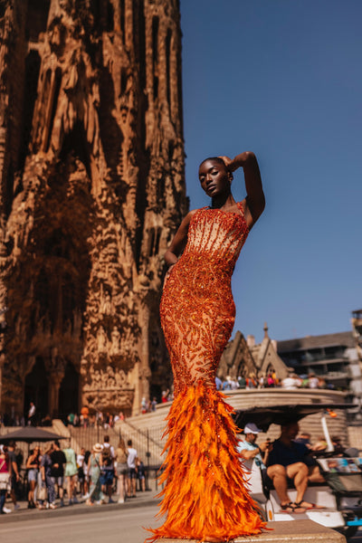 Luxury Orange Mermaid Evening Dress Feather