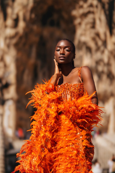 Luxury Orange Mermaid Evening Dress Feather
